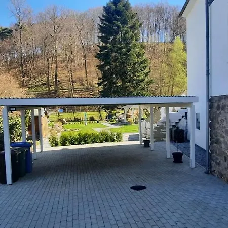 Ferienwohnung Willingen - Sauna -Garten Eimelrod Exterior foto